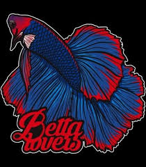 Moina Culture Fish Feed At Rs 70 Bag Fish Feed Id 22611683788