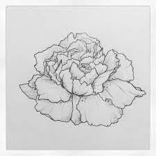 Carnation Tattoo Interested In Custom Drawings Contact Me At Clairestokes93 Yahoo Com Or Check Out My Ins Carnation Tattoo Carnations Carnation Flower Tattoo