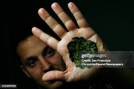 27 Jonathan Wolfson Stock Photos, High-Res Pictures, and Images