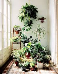 How to choose a plant for every room in your house. I Just Want A Room Full Of Plants Plants Indoor Plants Bedroom Plants