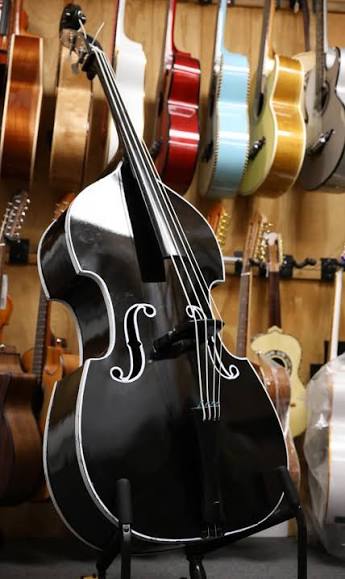 Difference between 3/4 upright bass and tololoche?