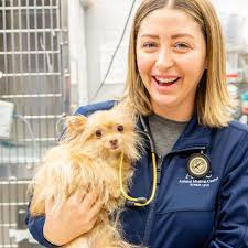 TOP 10 BEST Hamster Vet in New York, NY