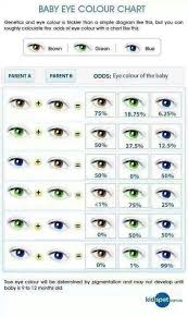 Who Knew What Your Eye Colour Says About You Eye Color Chart Eye Color Chart Genetics Eye Color Predictor