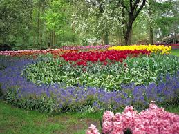 It has a wildflower feel to it, but also appears to be very simple in design. Growing Satisfying Summer Flowers Hgtv