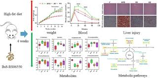 Cancer it is a group of 100 different diseases, and is not contagious. Engineered Butyrate Producing Bacteria Prevents High Fat Diet Induced Obesity In Mice Microbial Cell Factories Full Text