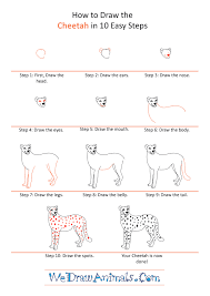 All the best cheetah drawing step by step 29+ collected on this page. Images Of How To Draw A Cheetah Step By Step Easy For Kids