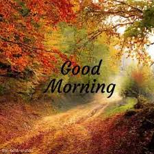 Maybe you would like to learn more about one of these? 150 Fresh Beautiful Good Morning Images With Nature