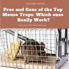 Check our top 11 of useful devices against rodents and accurate description of their applying. The Best Mouse Traps Find The Most Effective Mouse Trap Types