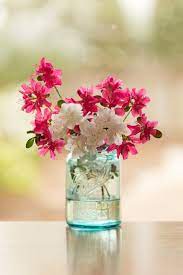 Azaleas In Mason Jar Photo Flowers In Mason Jar Still Life Etsy Mason Jar Flowers Flower Bouquet Vase Flower Arrangements