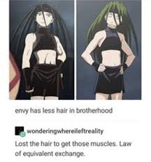 Pin By Lauren York On Fma Brotherhood Fullmetal Alchemist Brotherhood Fullmetal Alchemist Anime Memes Funny