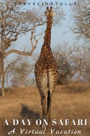 A Day On Safari In Londolozi A Top Luxury Safari Lodge In South Africa In 2020 Virtual Travel Africa Wildlife Luxury Safari Lodge
