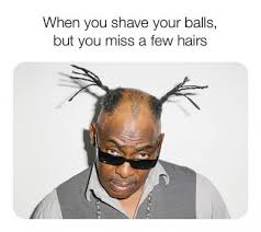 Generally, the hair here is sparser than on your pelvis, so you . When You Shave Your Balls But You Miss A Few Hairs Ahseeit