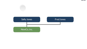 first entity and org chart