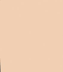 Plain background pastel color vectors (184). Wallpaper Pastel Color Brown Lion Nature Photo Nursery Wall Painting Little Greene Paint Solid Color Backgrounds