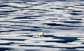 We did not find results for: Why Half A Degree Of Global Warming Is A Big Deal The Seattle Times