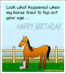 Happy birthday horse gif images. Pin By Marcia Helleksen On Birthday Video Funny Happy Birthday Wishes Birthday Wishes Funny Happy Birthday Funny