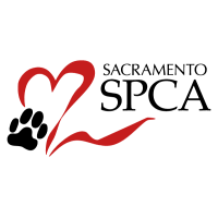 Our handbooks will answer many of the questions you may have about caring for your new cat or kitten. Sacramento Spca Linkedin