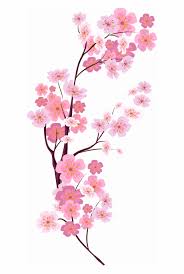 Use these free japanese cherry blossom color png #90763 for your personal projects or designs. Cherry Blossoms Png Image Download Clipart Cherry Blossom Png Transparent Png Download 810302 Vippng