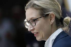 Der kölner engagiert sich aber auch bei der afd. Abgeordnete Aus Dem Sudwesten Diese Afd Politiker Ziehen Nach Berlin Politik Stuttgarter Zeitung