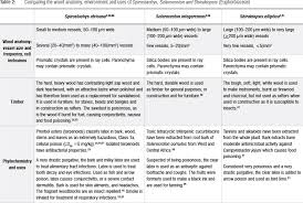 Image result for Sclerocroton