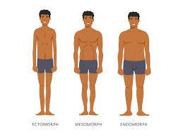 Check spelling or type a new query. Different Body Type Goals Novocom Top