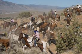 2020 Cattle Drive