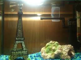 Paris Themed Fish Tank Fish Tank Sea Aquarium Paris Theme