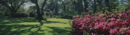 Rocky mount, nc police department. Dentist Rocky Mount Denturecare And Implant Solutions
