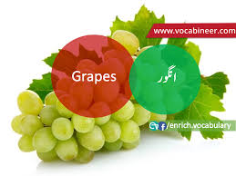 Fruits Name In Urdu Hindi And English With Pictures Fruits Name With Picture English Vocabulary Vocabulary