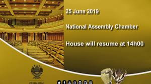 Joint Sitting Debate On President S State Of The Nation Address 25 June 2019 10 Am Youtube