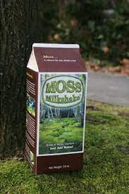 I had already done a moss milkshake sans milk using this stuff: Moss Milkshake For Moss Yards Moss Milkshake Grow Moss Moss Yard