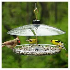 Bird Feeders For Small Birds Covered Platform Tray Bird Feeder Bird Feeders