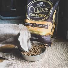 Its recipe is explicitly designed to match their nutritional needs and ensure a healthy bone, brain, and muscle development. Wellness Core Rawrev Puppy Food A Review Of Wellness Puppy Food