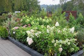 Hartmann fachmarkt lorem ipsum dolor sit amet, consetetur sadipscing elitr, sed diam nonumy eirmod tempor invidunt ut labore et dolore magna aliquyam erat, sed diam voluptua. Besuchen Sie Unseren Pflanzenpark In Obergunzburg