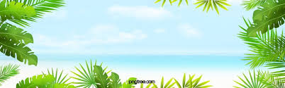 fundo de recurso de praia de verao brisa fresca pantai musim panas latar belakang keren latar belakang