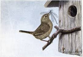 Each animal's name is linked to a coloring page i found online that i will either be printing directly, or cutting and pasting into. The Burgess Bird Book The Essential Resource Guide Chapter By Chapter