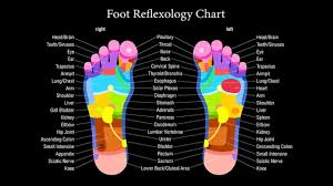 Foot Healing 7 83hz 33hz 108hz 194 18hz 256hz 264hz