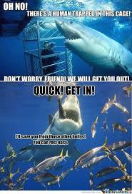Rmx Misunderstood Shark Misunderstood Shark Funny Shark Pictures Funny Animal Jokes