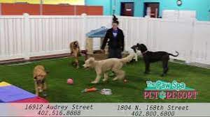 Hot paws pet resort offers pet grooming, pet boarding and pet day care services for your all your pets. The Paw Spa Pet Resort Pet Boarding