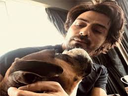 Googled gangsta beard meme. not disappointed! Arjun Rampal S Pet Gangsta Passes Away