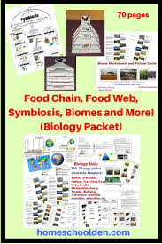Learn About Food Chain Food Web Energy Pyramid Activities Symbiosis Biomes And More In This 70 Page Bio Food Chain Food Web Homeschool Science Curriculum