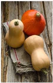 Potimarron Ou Courge Butternut Doubeurre Ou Potiron Rouge Vif D Etampes En Legumes Ou En Potage Aidons Nos Enfants A Retrouver Confiance En Leurs Capacites Courge Butternut Potimarron Doubeurre