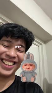 Labubu Toys: Unboxing and Mystery Plush Review