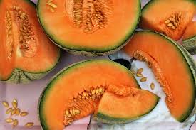3 to 5 melons per plant. Melon Conseils De Plantation Et Culture Truffaut