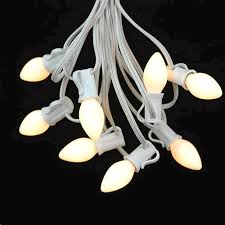 Tent Light String Led 20 Foot Instal Rentals Roanoke Va Where To Rent Tent Light String Led 20 Foot Instal In Blacksburg Lynchburg Smith Mt Lake Salem Va