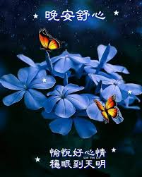 pin by mike tsao on 晚安早安语录 good night blessings good night blessed