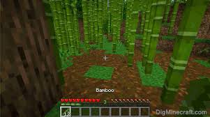 Collecting resources is the key to continuing to expand your minecraft base. How To Make Bamboo In Minecraft