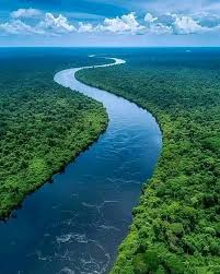 ‫غابة‬‎ ile ilgili görsel sonucu