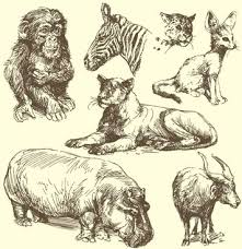 Animals Pencil Drawing Free Vector Download 98 294 Free Vector For Commercial Use Format Ai Eps Cdr Svg Vector Illustration Graphic Art Design The thing about drawing with pencils is that we learned to draw using them in the first place and this is probably why the charm of pencil.