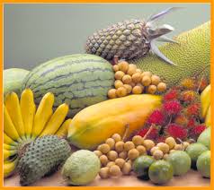 Karena kelangkaannya, harga buah tersebut pun tidak. Harga Buah Buahan Di Malaysia Sakk Kal